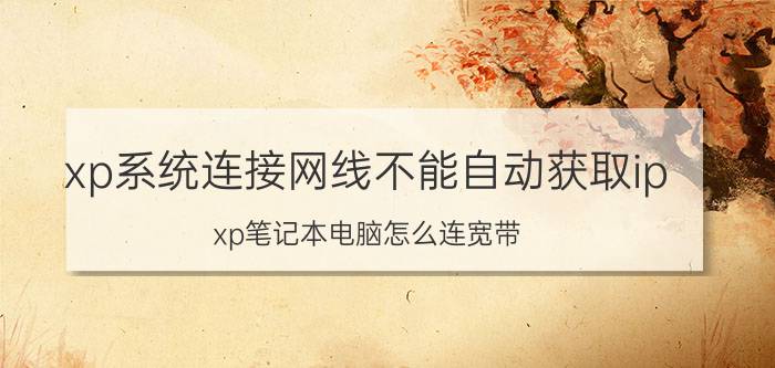 xp系统连接网线不能自动获取ip xp笔记本电脑怎么连宽带？